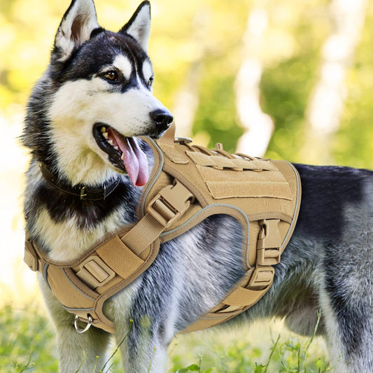 Tactical Dog Harness No-pull, adjustable, with handle, Molle & loop panels, Khaki, Medium.